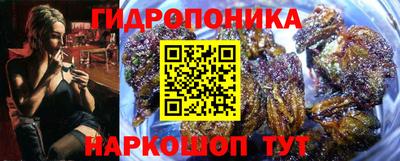 крисы Кизляр