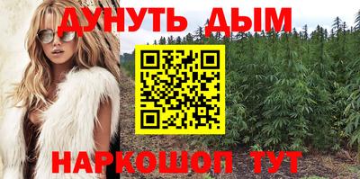 крисы Кизляр